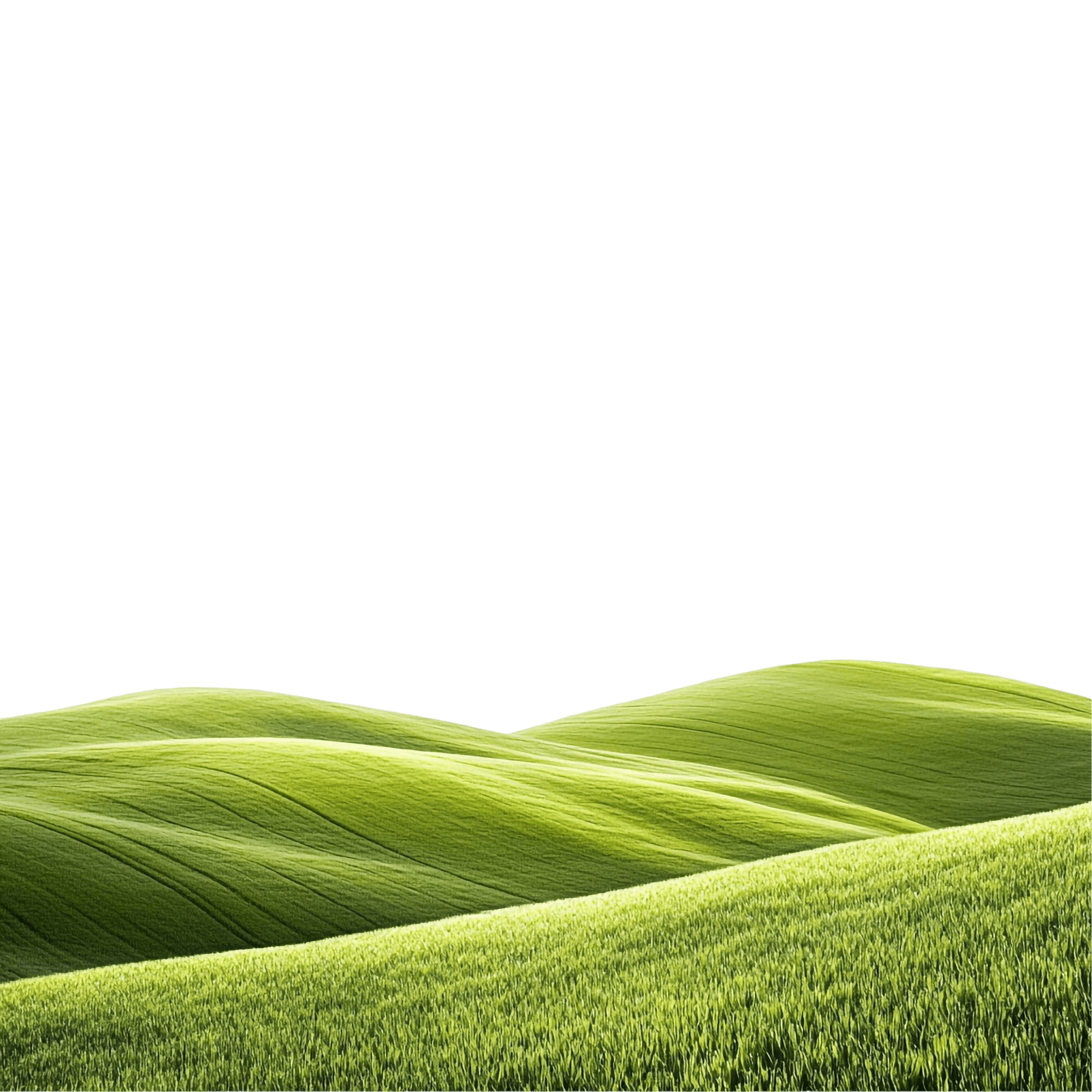 Green Fields